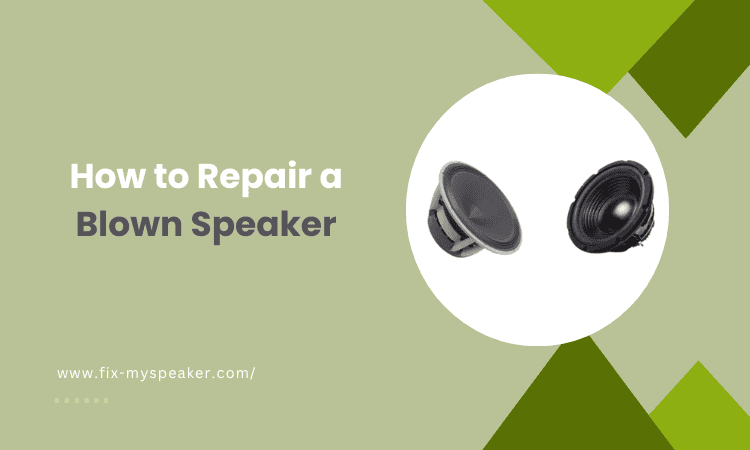 How to Repair a Blown Speaker